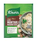 Knorr Kremalı Mantar Makarna Sosu 52 g