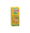 Pınar Çılgın İkili Şeftali Ananas 200 ml