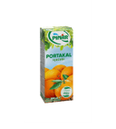 Pınar Meyveli İçecek Portakal 200 ml