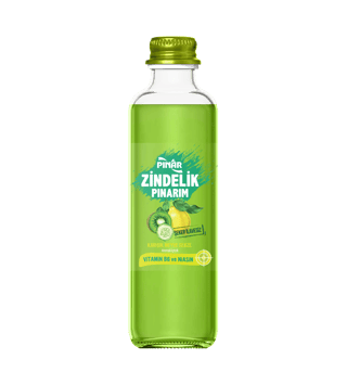 Pınar Zindelik Pınarım Karışık Meyveli ve Sebzeli 250 ml