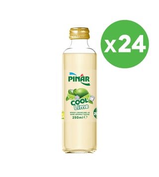 Pınar Cool Lime Cam 250 ml x 24 Adet