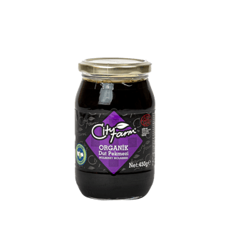 City Farm Organik Dut Pekmezi 450 g