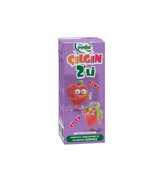 Pınar Çılgın İkili Elma Çilek 200 ml