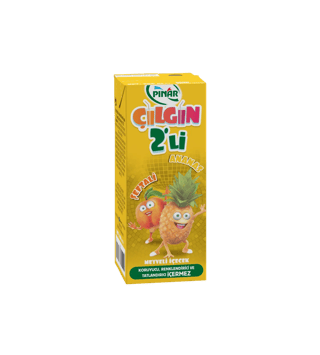 Pınar Çılgın İkili Şeftali Ananas 200 ml