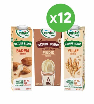  Nature Blend Bitkisel Bazlı İçecek Seti 3x1 lt x 12 Adet