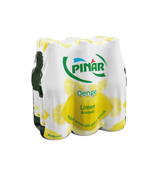 Pınar Denge Limonlu Maden Suyu 6x200 ml