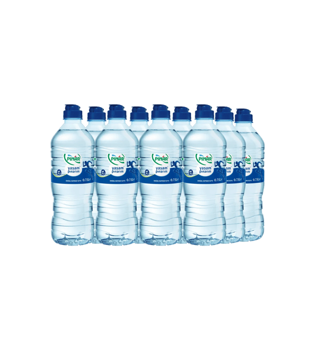 Pınar Sporcu Su 12 x 0,75 L 