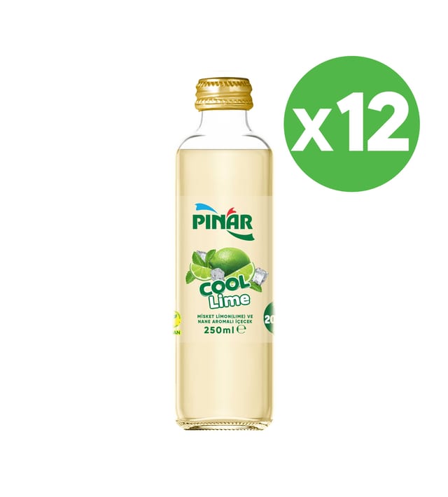  Pınar Cool Lime Cam 250 ml x 12 Adet